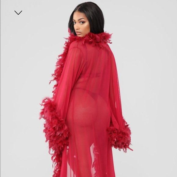 Mesh Robe From Fashion Nova. - Picture 3 of 3